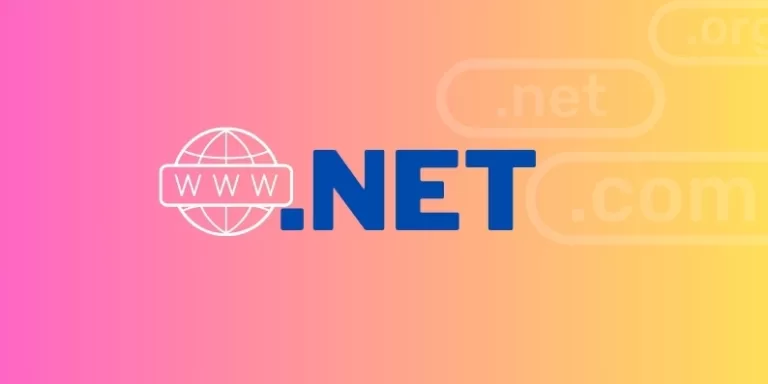 NET Domain Uzantısı