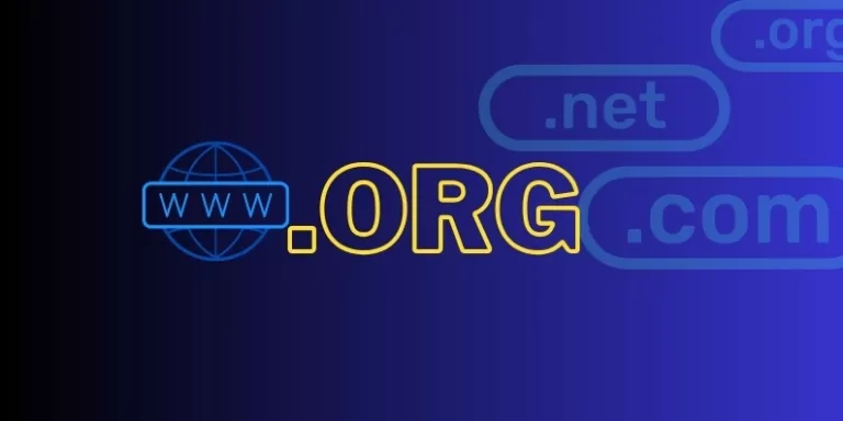 ORG Domain Uzantısı